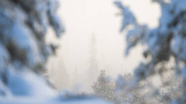 The Human Prompt assets for Mikko Lagerstedt