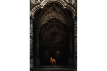 Photos for Nikon magazine