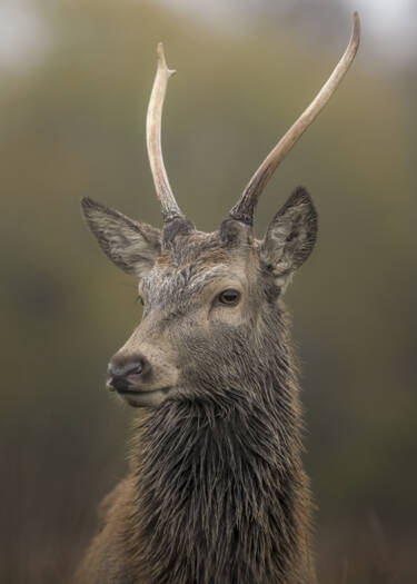 Nikon magazine - The Set Up